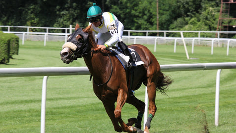 10 Drinks For The Kentucky Derby