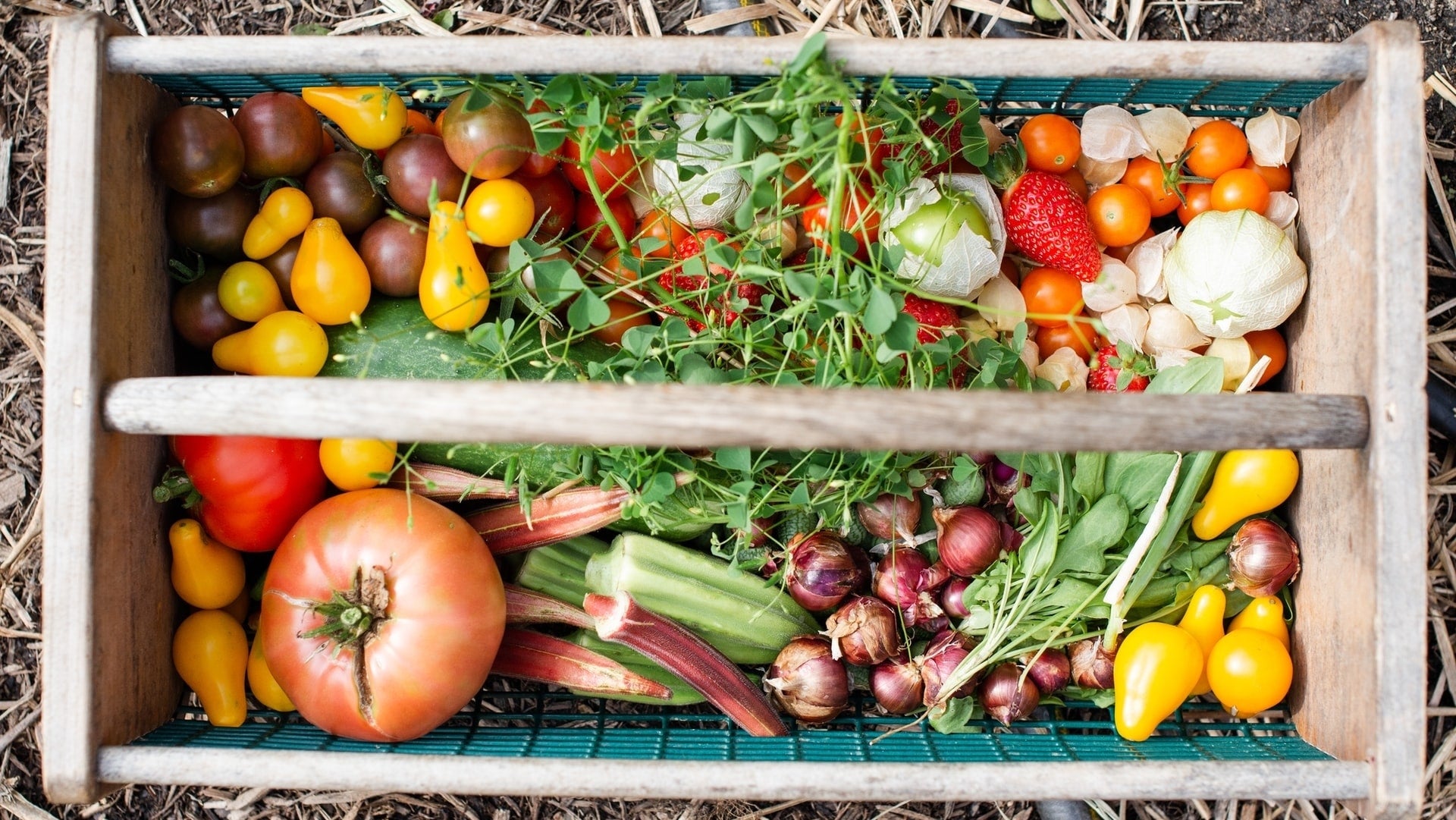 wine pairings for vegetables