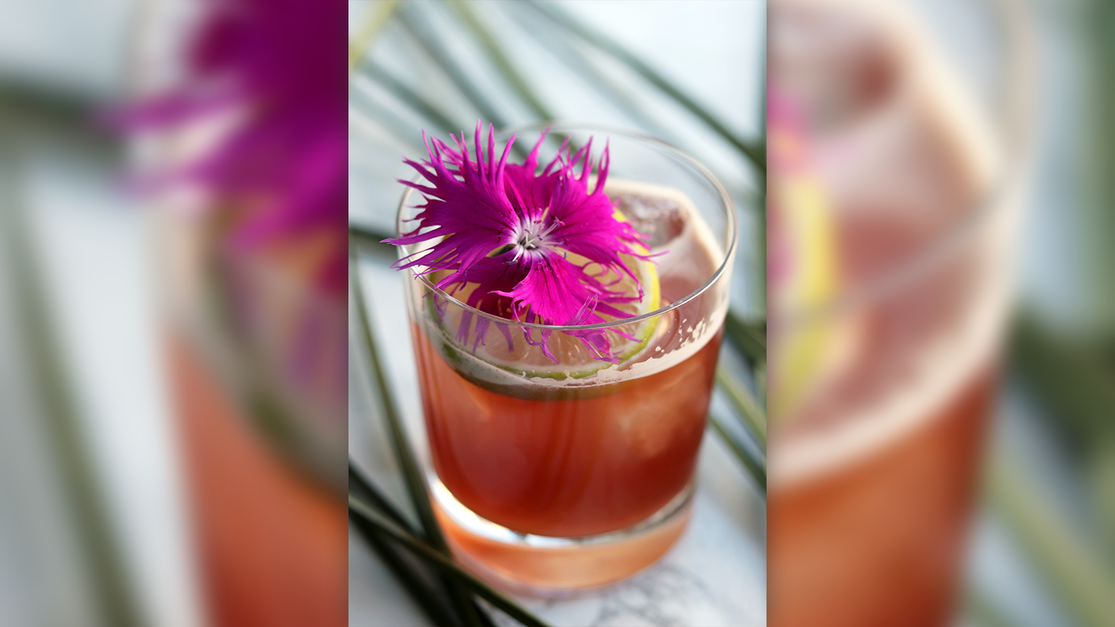 best garnishes for drinks